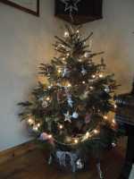 Ilminster Christmas Tree Festival 2012