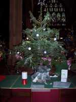 Christmas Tree Festival
